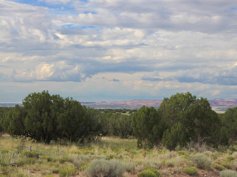 40 Acre Hilltop Wilderness Ranch : Saint Johns : Apache County : Arizona