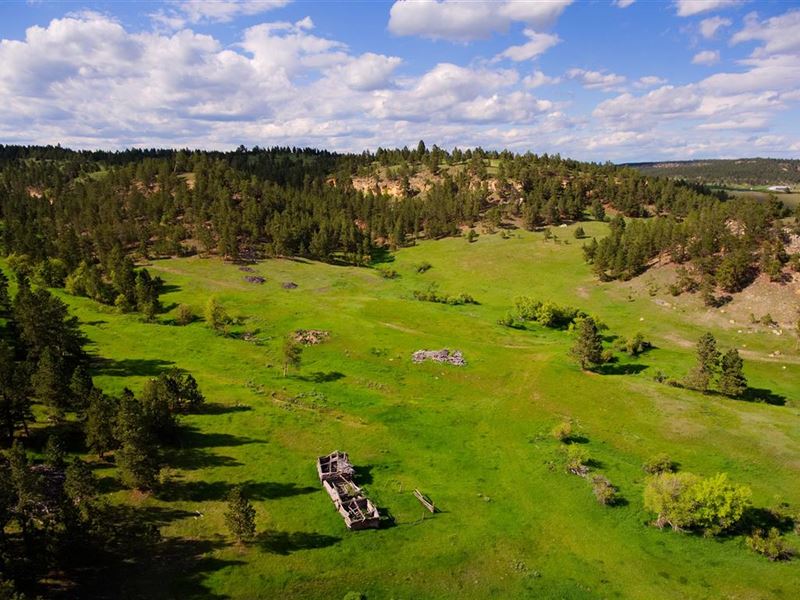Kara Creek Divide Ranch : Sundance : Crook County : Wyoming