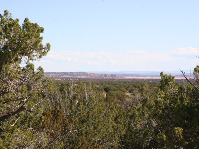 84 Acre Northern Az Mountain Ranch : Saint Johns : Apache County : Arizona