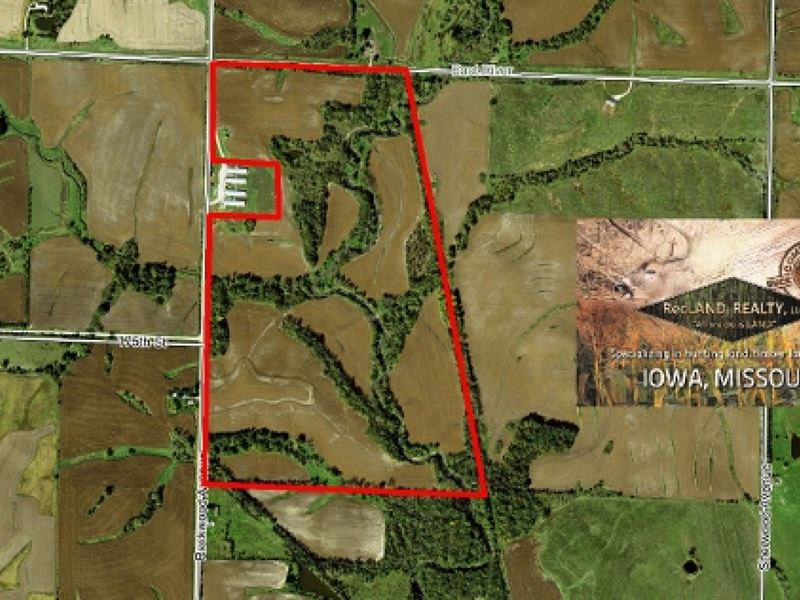 185 Ac - Farm with Income & Hun : Sharpsburg : Taylor County : Iowa