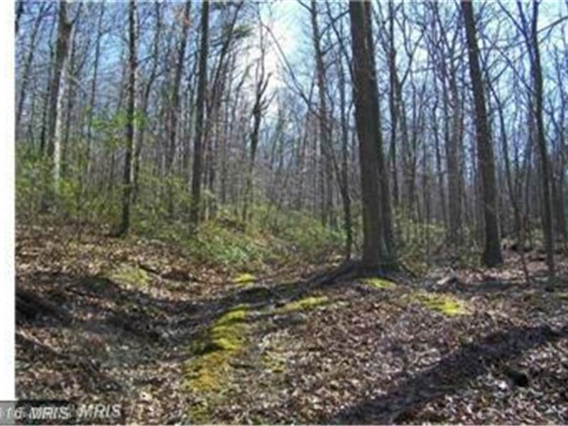 25 Wooded Acres Farm  for Sale Paw  Paw  Hampshire 