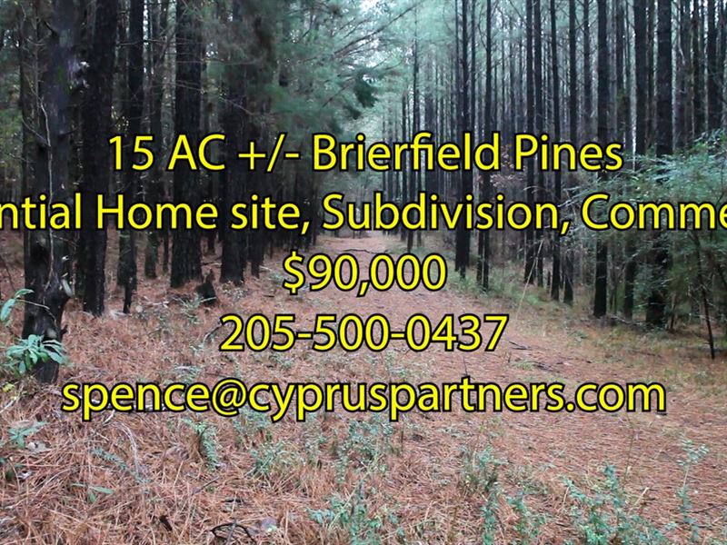 Brierfield Pines : Brierfield : Bibb County : Alabama