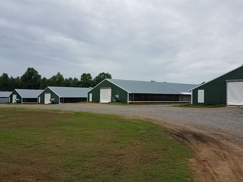 Four House Broiler Farm : Baileyton : Cullman County : Alabama