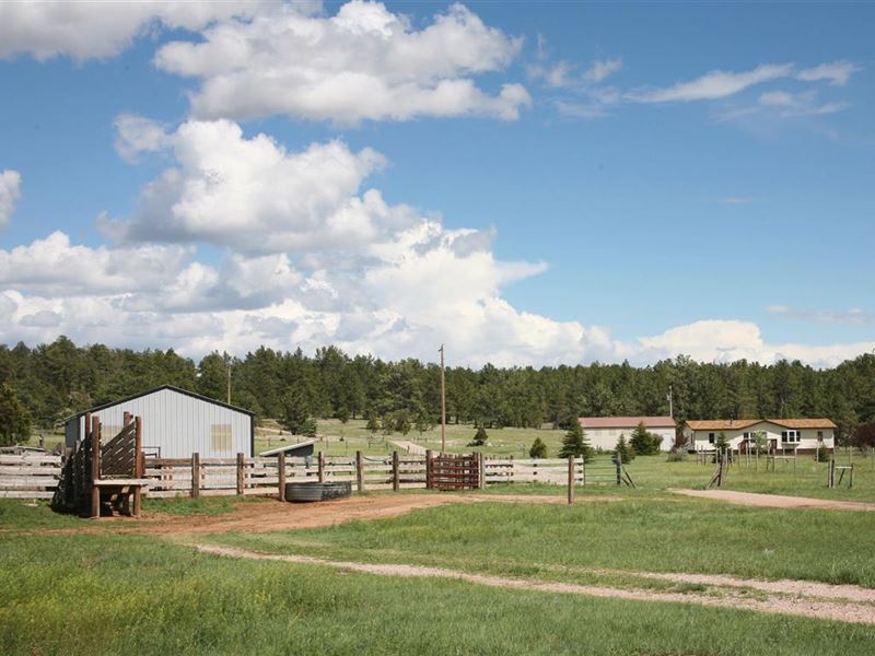 Behl Ranch : Edgemont : Custer County : South Dakota