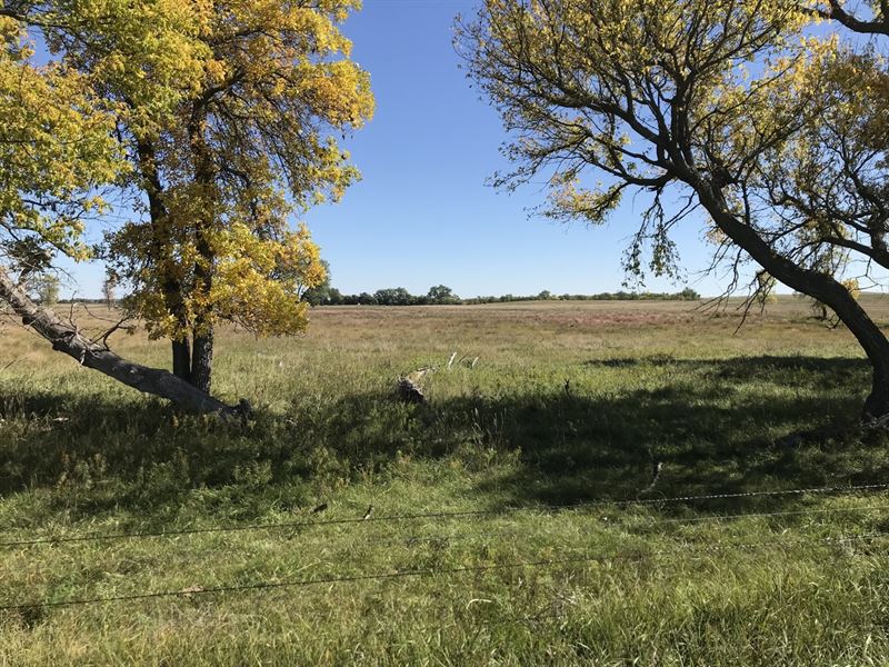 Outstanding Ranch & Farm Property : Mound City : Campbell County : South Dakota