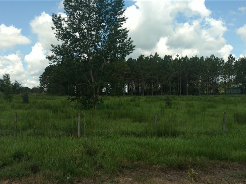 5 Green Acres Near The End Of Road : Dade City : Pasco County : Florida