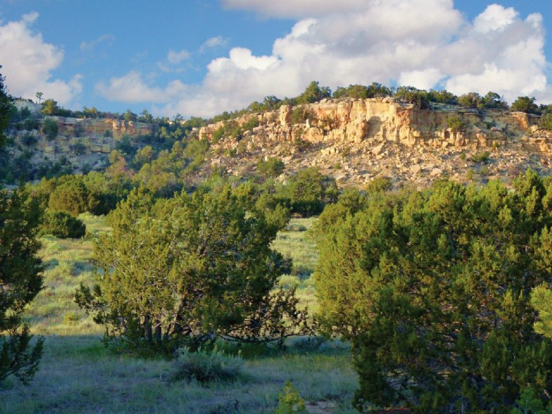 Arizona Wilderness Ranch $237/Mo : Saint Johns : Apache County : Arizona